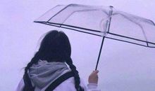 对妹妹彻底失望的句子