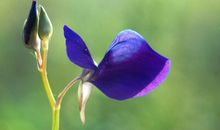 大彻大悟的10精美句子 简短精辟的句子太绝了