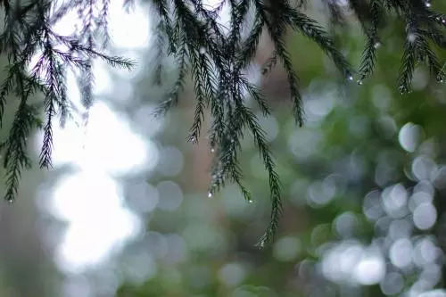 该用什么语言来描述心中的那份期待和怀念