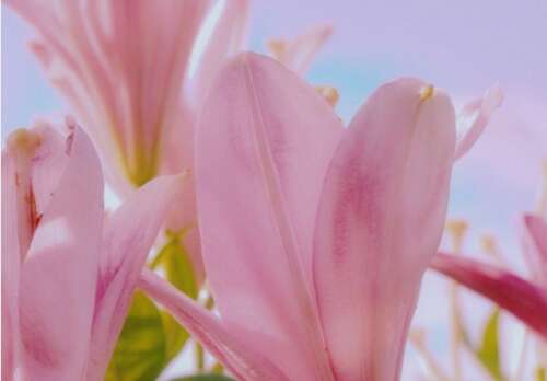 独爱一人的霸气句子