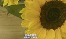 热爱工作的正能量句子 工作心态的励志句子