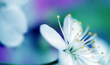 对感情失望放弃的句子说说心情