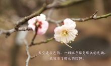 对爱人失望的句子说说心情短语