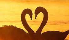 婚姻中对另一半的失望的句子