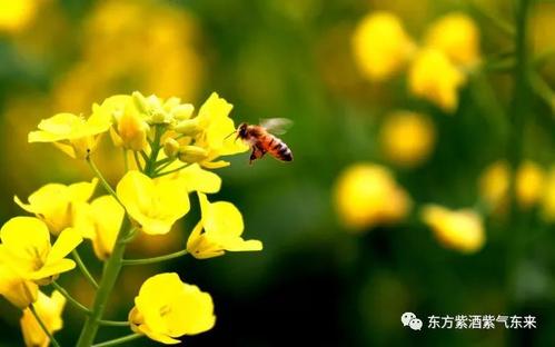 因为它为那些感动的人而成长