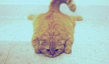 表示对老公失望的句子