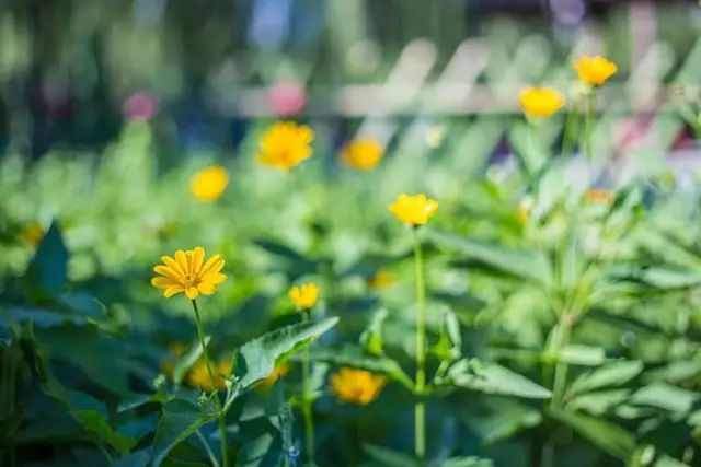 时过境迁再回首