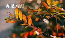 八月最后一天的心情说说、图片