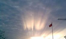 对世界充满失望的句子