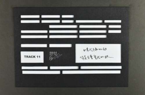 一定有很多傻瓜在听这首歌