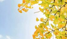 生活感悟优美句子 人生感言适合发朋友圈