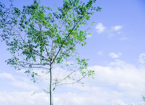 快乐的聚会句子，快乐的情绪短语