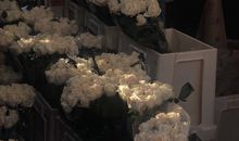 突然一刻心酸的句子 句句戳心