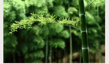 人生酸甜苦辣的感悟 喜怒哀乐的感悟人生