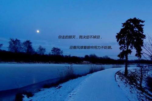 决定放弃一件事的句子如果你决定放弃2则不要回头