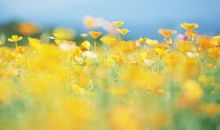 简短精辟的个性签名