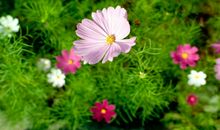 让人等待瞬间开心的句子 瞬间让人开心的句子短句