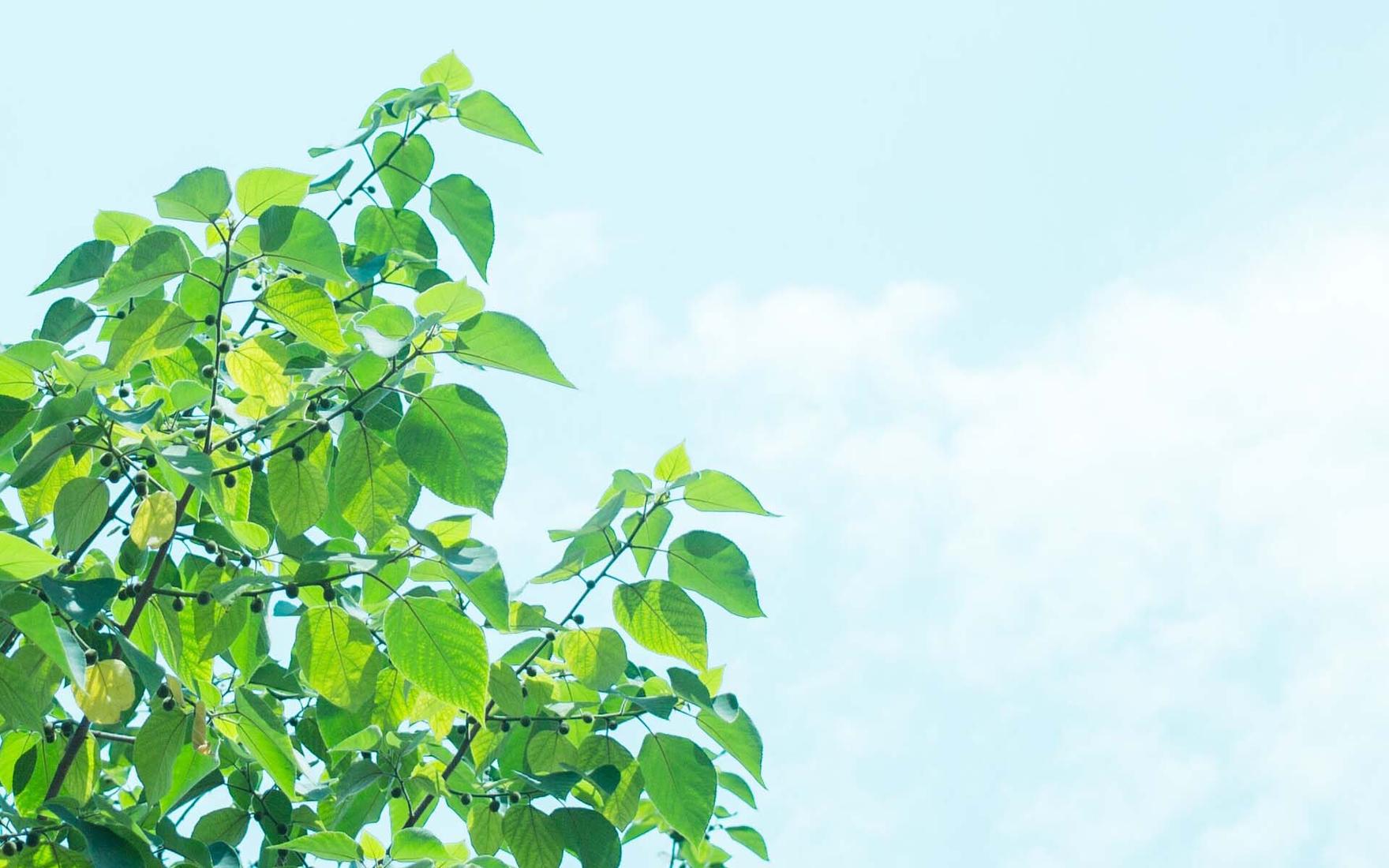 关于家庭感冒和温暖的句子2