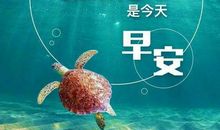 关于周末的句子