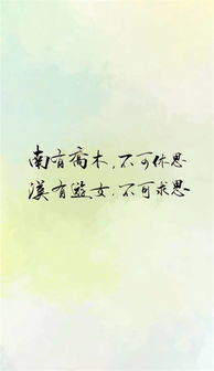 2017七夕表白爱语