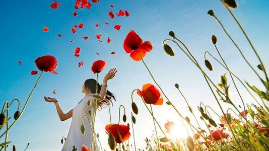 关于家庭感情的简短而感人的句子