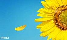 励志开心的英文句子说说心情