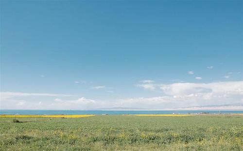 请欣赏编辑编纂的一些描述一起玩乐的句子