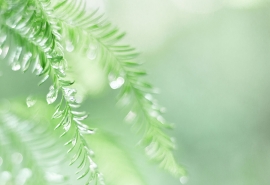 我希望你喜欢它
1.所有的欢乐和自由必须有据点