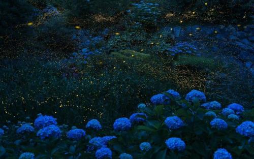 使女朋友开心的幽默句子是什么？