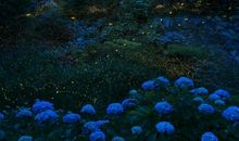 哄女朋友开心的句子 哄女友消气幽默的句子