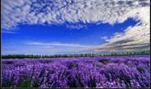 亲情寒冬里温暖的句子