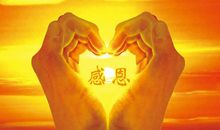 感恩同事陪伴的句子