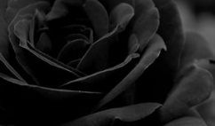 对家庭2表示失望的句子