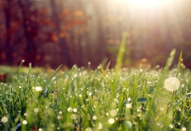 快乐也是一种能力句子2