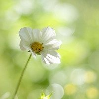 选择快乐的句子谈论心情2