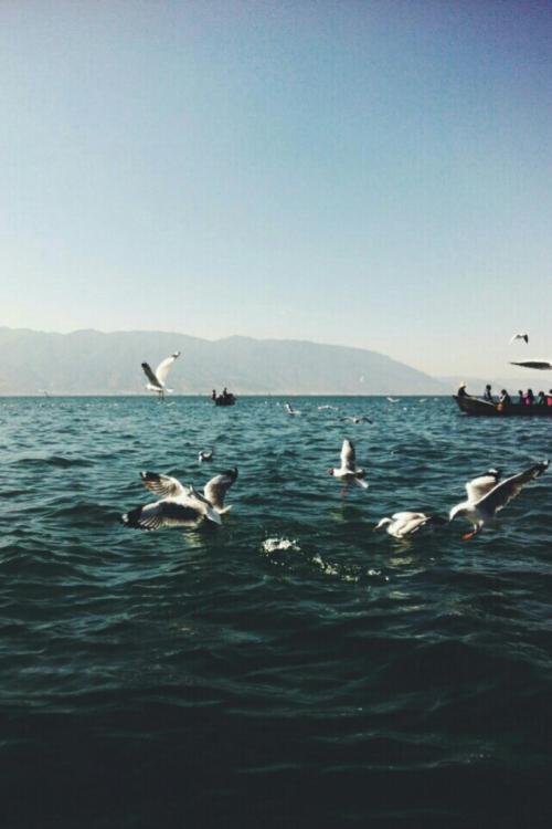 我自己的座右铭是简短的1