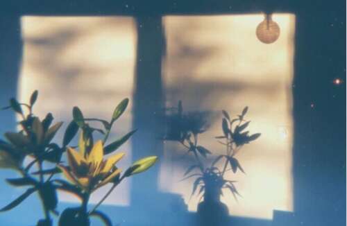 最短最简洁的句子是惊人的