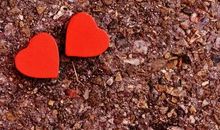 关于对家庭失望的句子