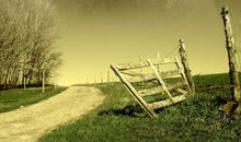 对家庭失望的句子说说