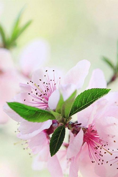 宝贵的情感句子简短