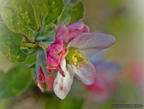 宝贵的简短情感句子2