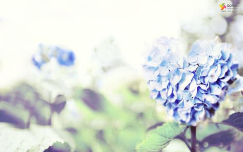 家庭生活情感短句1