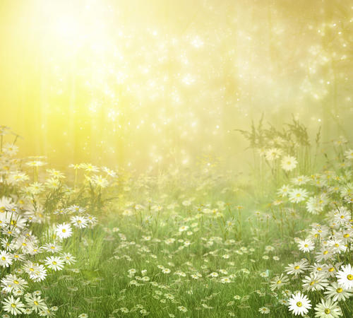 珍惜家庭爱情短句1