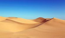 形容亲情优美的句子简短