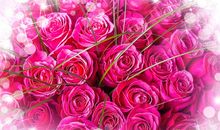 有关亲情的简短的优美句子