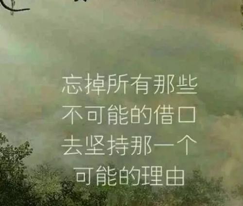 简短的励志句子,鲜明的句子2