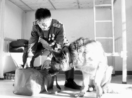 关于人生的悲哀句子初见5