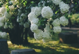 家庭之爱经典英语句子短