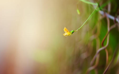 有关家庭2的最短句子的完整列表