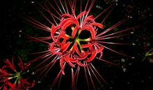 关于亲情最简短的句子大全